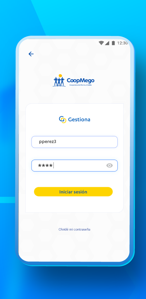 Gestiona App login screen for internal financial operations